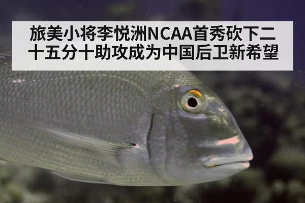旅美小将李悦洲NCAA首秀砍下二十五分十助攻成为中国后卫新希望